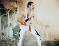 Freddy Mercury